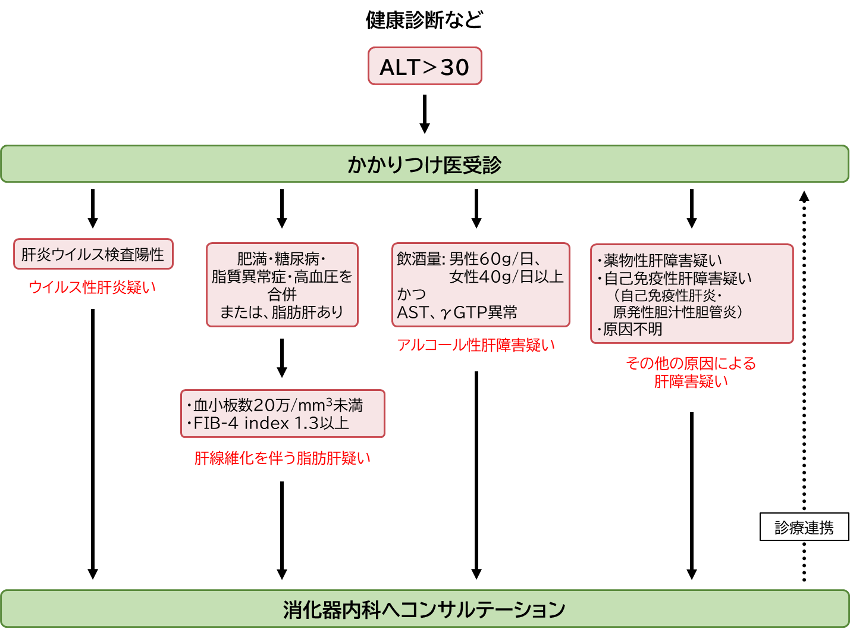診療方針の流れ図。健康診断などでALT＞30なら、かかりつけ医を受診。かかりつけ医で次の4つに分ける。1 肝炎ウイルス検査陽性（ウイルス性肝炎疑い）。2 肥満・糖尿病・脂質異常症・高血圧を合併、または脂肪肝ありで、血小板数20万/mm3未満またはFIB-4 index 1.3以上（肝線維化を伴う脂肪肝疑い）。3 飲酒量が男性60g/日、女性40g/日以上、かつAST、γGTP異常（アルコール性肝障害疑い）。4 薬物性肝障害疑い、自己免疫性肝障害疑い（自己免疫性肝炎・原発性胆汁性胆管炎）、原因不明（その他の原因による肝障害疑い）。いずれも消化器内科へコンサルテーションし、かかりつけ医と診療連携する