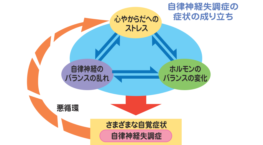 心やからだへのストレス、自律神経のバランスの乱れ、ホルモンのバランスの変化が互いに影響し合い、さまざまな自覚症状（自律神経失調症）を招いて悪循環になることを示した図