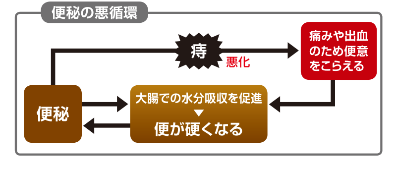 便秘になると大腸での水分吸収が進んで便が硬くなり、痛みや出血のため便意をこらえて痔が悪化し、さらに便秘が進む悪循環を示した図