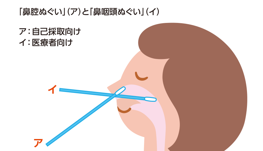 「鼻腔ぬぐい」(ア)と「鼻咽頭ぬぐい」(イ)の採取方法を示した図。アは自己採取向けで鼻の入り口付近を、イは医療者向けで鼻の奥までスワブを挿入する