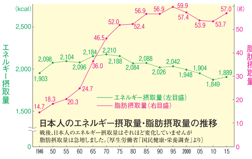 日本人のエネルギー摂取量・脂肪摂取量の推移を示した折れ線グラフ。戦後、エネルギー摂取量はそれほど変化していないが、脂肪摂取量は1946年の14.7グラムから57.0グラムへ急増した