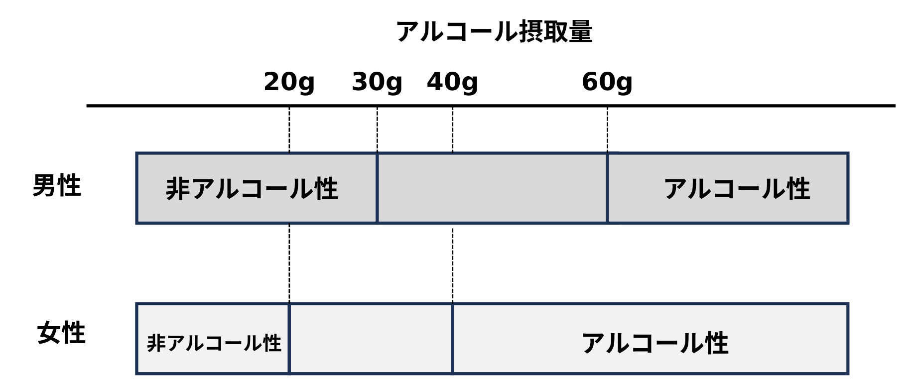1日あたりのアルコール摂取量による区分を男女別に示した帯図。男性は30g未満が非アルコール性、60g以上がアルコール性で、30g以上60g未満はどちらとも区別できない範囲。女性は20g未満が非アルコール性、40g以上がアルコール性で、20g以上40g未満はどちらとも区別できない範囲
