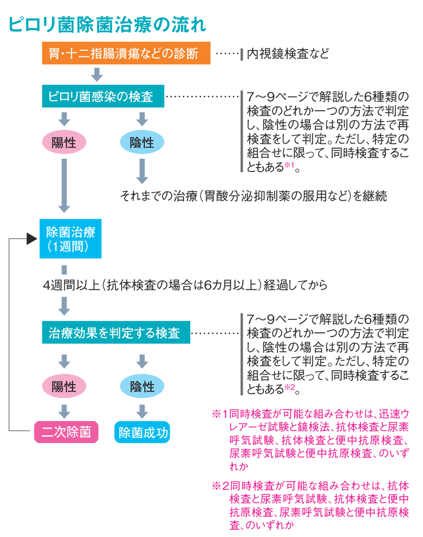 ピロリ菌除菌治療の流れを示す図。内視鏡検査などで胃・十二指腸潰瘍などを診断したあとピロリ菌感染の検査を行い、陰性ならそれまでの治療を継続、陽性なら除菌治療（1週間）を行って4週間以上経過後に治療効果を判定し、陽性なら二次除菌、陰性なら除菌成功となることを示したフローチャート