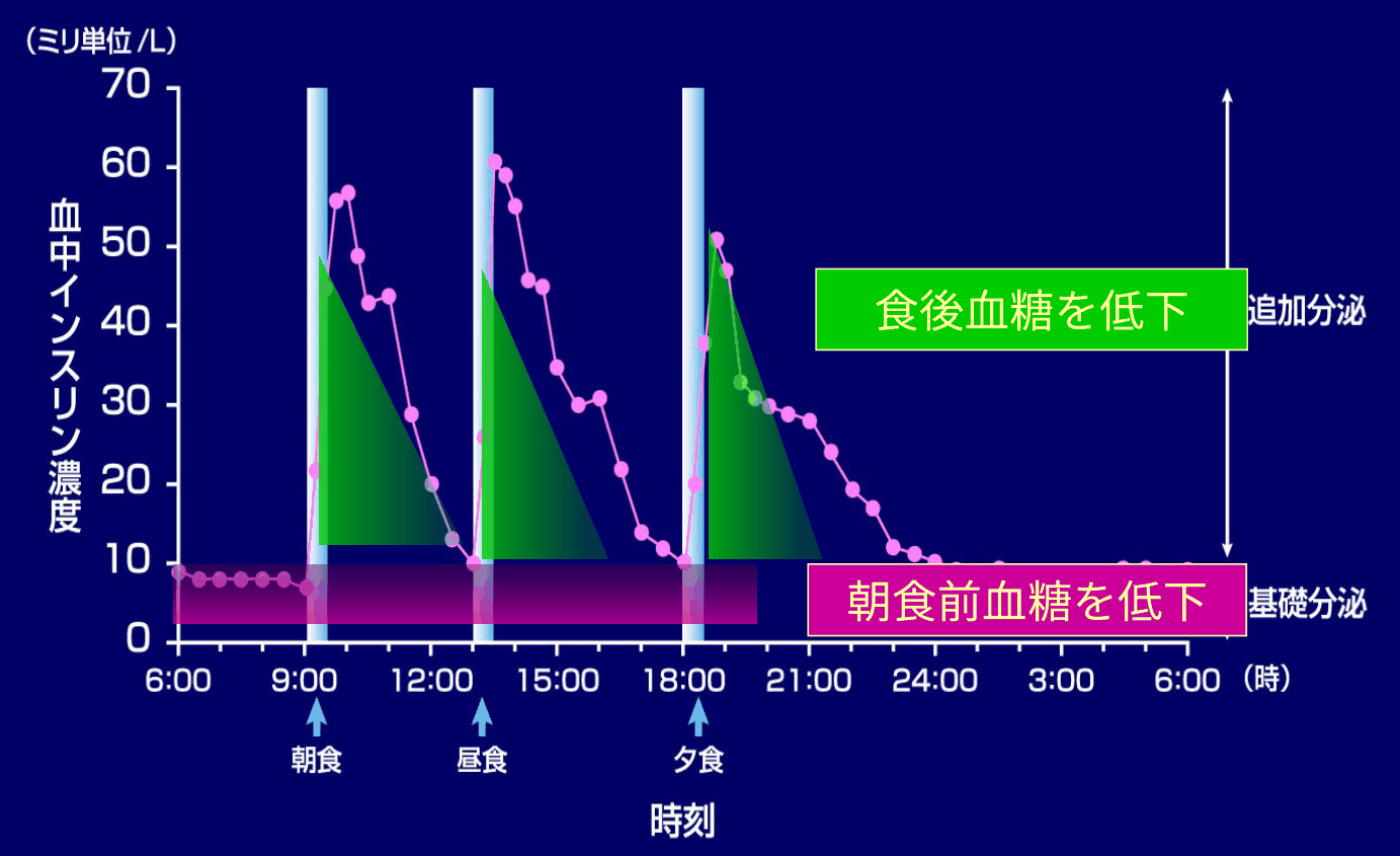 健常な人の1日の血中インスリン濃度の変化を示すグラフ。朝6時から翌朝6時まで、インスリン濃度は1日を通して10ミリ単位/L以下の低い値で続き（基礎分泌、朝食前血糖を低下）、朝食・昼食・夕食のたびに50〜60ミリ単位/L前後まで急に上がってから下がる（追加分泌、食後血糖を低下）
