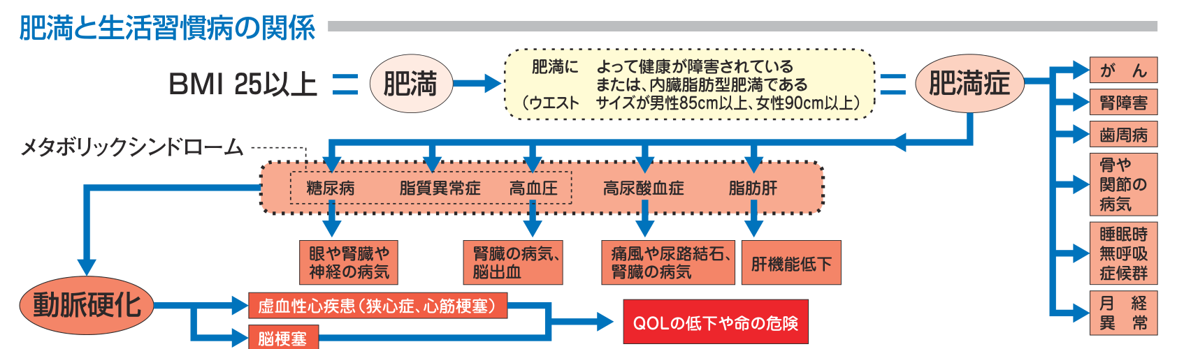 BMI25以上が肥満、肥満によって健康が障害されているか内臓脂肪型肥満であれば肥満症となり、糖尿病・脂質異常症・高血圧・高尿酸血症・脂肪肝から動脈硬化、虚血性心疾患や脳梗塞へとつながることを示した図