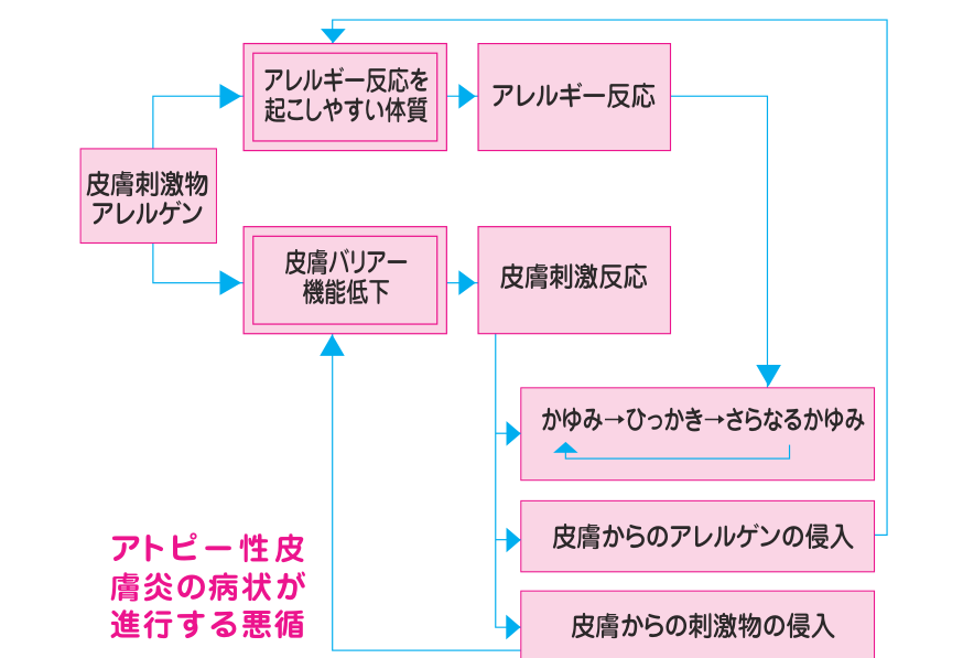 皮膚バリアー機能の低下とアレルギー反応が、かゆみと掻き傷を通じてたがいに悪化を繰り返す悪循環を示した図